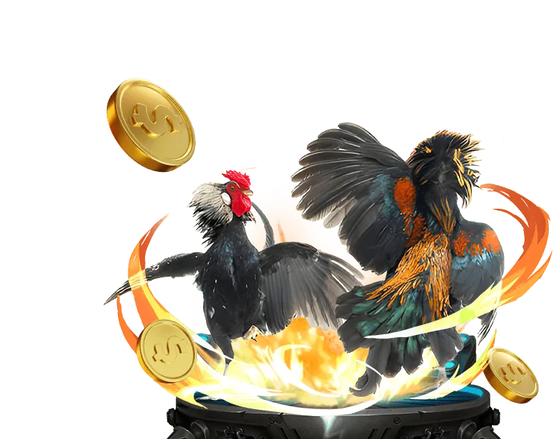 Hình ảnh đa dạng các trò chơi tại Roobet Casino